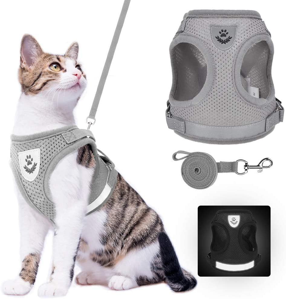 Photo inspiration: Visual Reference: Tetou Cat Harness And Leash Set For Walking Adjustable Vest