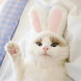 thumbnail image 1 of TETOU Cute Costume Bunny Rabbit Hat with Ears for Cats & Small Dogs Party Costume Easter & Halloween Pet Accessory Headwear, 1 of 7