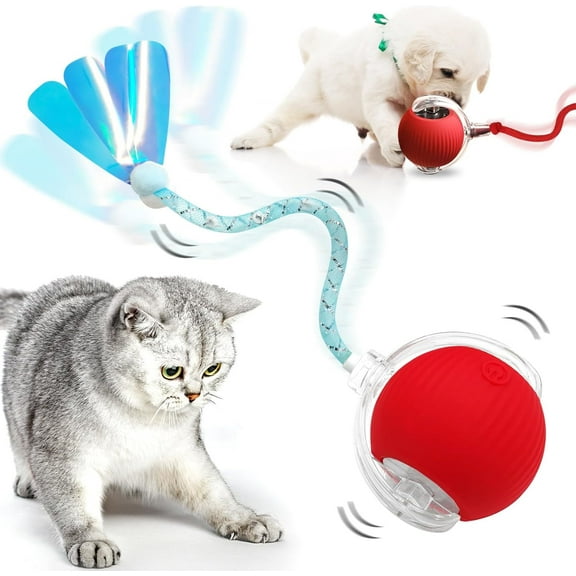 TETOU Interactive Cat Toys Ball with Tail, Automatic Moving Dog Toys Ball, Electric Dog Ball Electric Interactive Rolling Ball for Dog &Cat Indoor Play Chase Exercise Activity