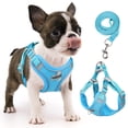 thumbnail image 1 of TETOU Reflective Dog Harness and Leash Set, No-Pull Pet Harness Adjustable Mesh, Ultra Breathable Padded Dog Vest Harness for Small Medium Large Dogs - Blue, M, 1 of 10