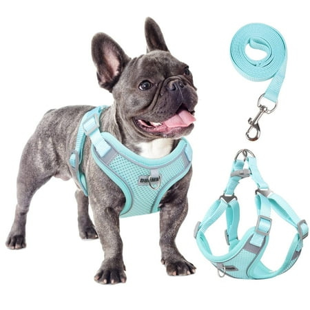 TETOU Reflective Dog Harness and Leash Set, No-Pull Pet Harness Adjustable Mesh, Ultra Breathable Padded Dog Vest Harness for Small Medium Large Dogs - Green, L