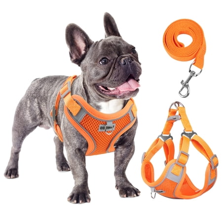 TETOU Reflective Dog Harness and Leash Set, No-Pull Pet Harness Adjustable Mesh, Ultra Breathable Padded Dog Vest Harness for Small Medium Large Dogs - Orange,L