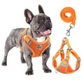 thumbnail image 1 of TETOU Reflective Dog Harness and Leash Set, No-Pull Pet Harness Adjustable Mesh, Ultra Breathable Padded Dog Vest Harness for Small Medium Large Dogs - Orange, S, 1 of 10