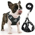 thumbnail image 1 of TETOU Reflective Dog Harness and Leash Set, No-Pull Pet Harness Adjustable Mesh, Ultra Breathable Padded Dog Vest Harness for Small Medium Large Dogs - Black, S, 1 of 10