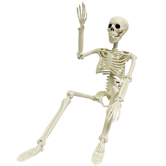 TETOU 3ft Skeleton Halloween Decorations,Realistic Full Body Movable Posable Joints Skeleton, Creepy Plastic Skeleton for Halloween Party Haunted House Props Indoor Outdoor Decor