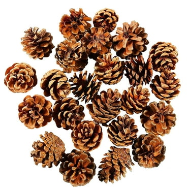 TEVEQ Christmas Bulk Package of Natural Pinecones for Home Party Decorations-24 Pack