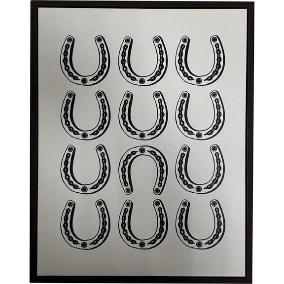 Crystal Art Gallery 15x19 Texas Horseshoes Canvas Framed Wall Art Decor, Rustic Farmhouse Americana Lucky Horseshoe Wall Decor for Home