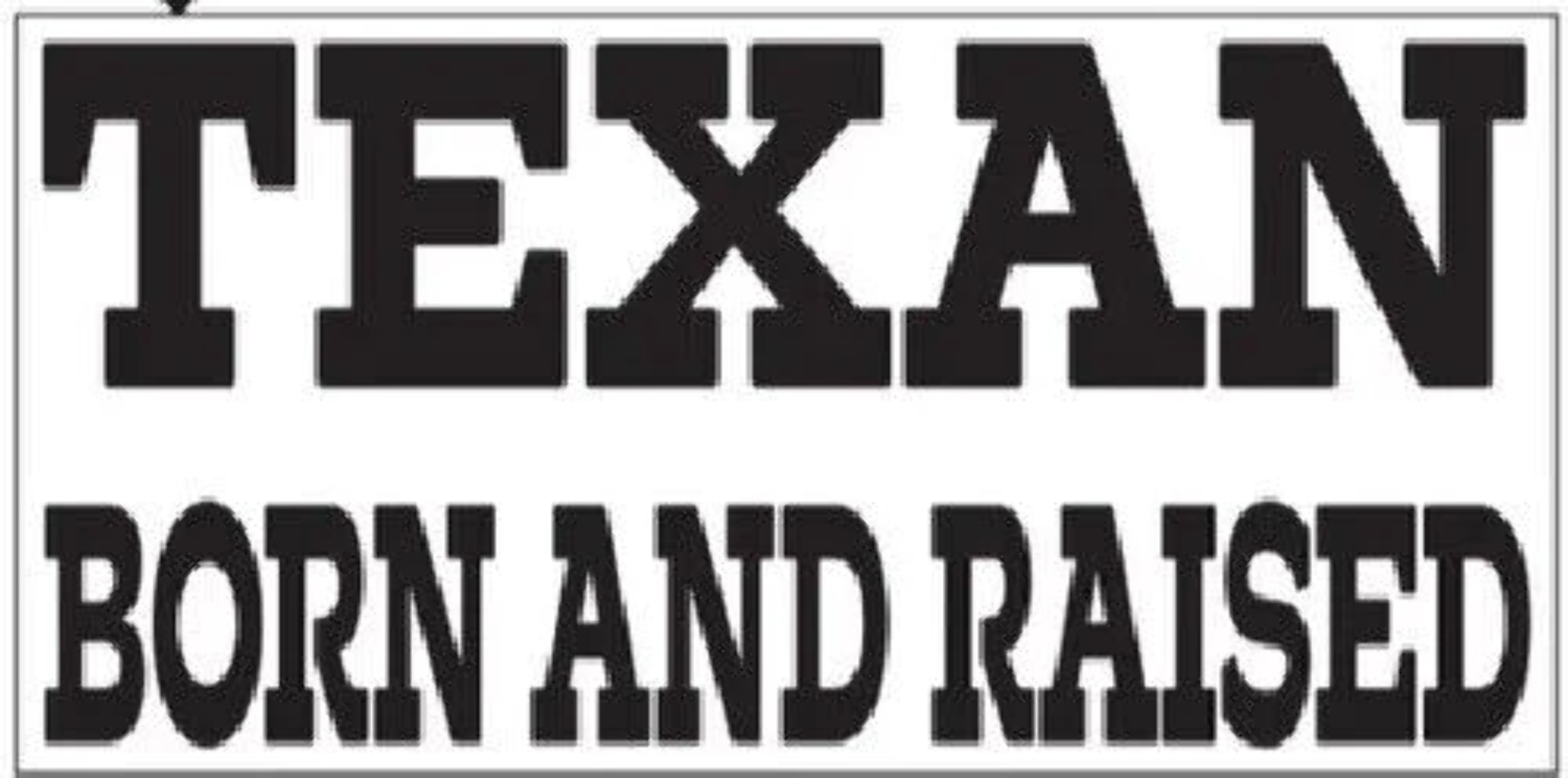 TEXAS TEXAN BORN AND RAISED BORDER PATROL BLACK Vinyl Decal Bumper