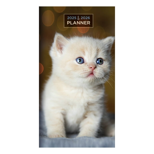 TF PUBLISHING 20252026 Kittens 2Year Small Monthly Pocket Planner