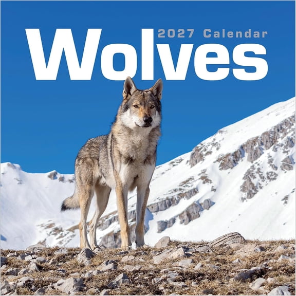 TF Publishing 2027 Wolves Wall Calendar