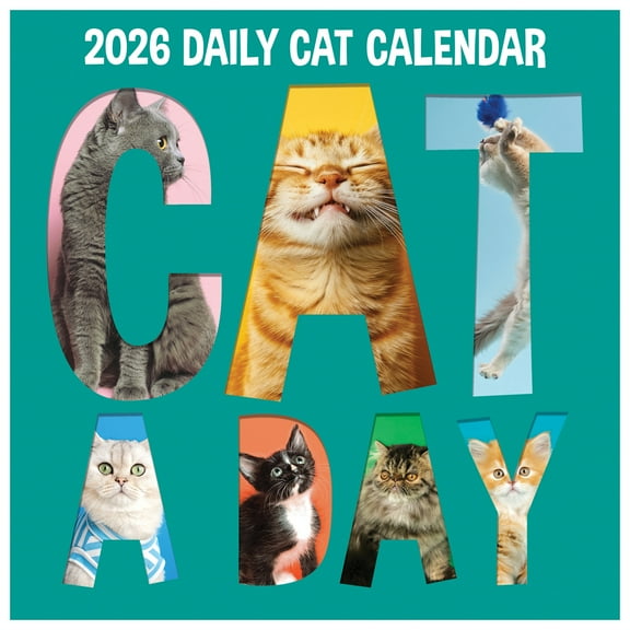TF Publishing, Cat A Day 2026 Wall Calendar, 12'' X 12'', 12-Month Calendar with Stapled Binding