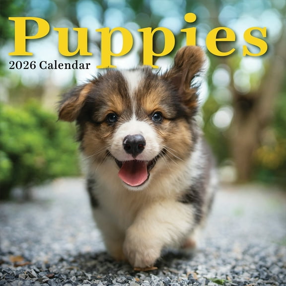 TF Publishing, Puppies 2026 Wall Calendar, 12'' X 12'', 12-Month Calendar with Stapled Binding
