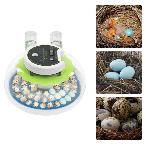 TFCFL 14.76x12.4x6.1in Quail Egg Incubator for Hatching 60 Quail Eggs Small Quail Brooder with LED Lighting Poultry Quail Incubator Adjustable Temperature