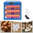 thumbnail image 1 of TFCFL 150-180 Eggs Incubator Digital Poultry Hatcher Tabletop Automatic Hatching Machine 0-99℃, 1 of 18