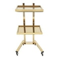 thumbnail image 1 of TFCFL 2 Tier Beauty Salon Spa Trolley Rolling Utility Cart Storage Cart Stainless Steel Hairdressing Tool Trolley, 1 of 18