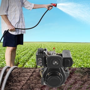 247CC 4 Stroke Single Cylinder Diesel Engine Air-cooled Diesel Engine for Small Agricultural Machines 5 HP