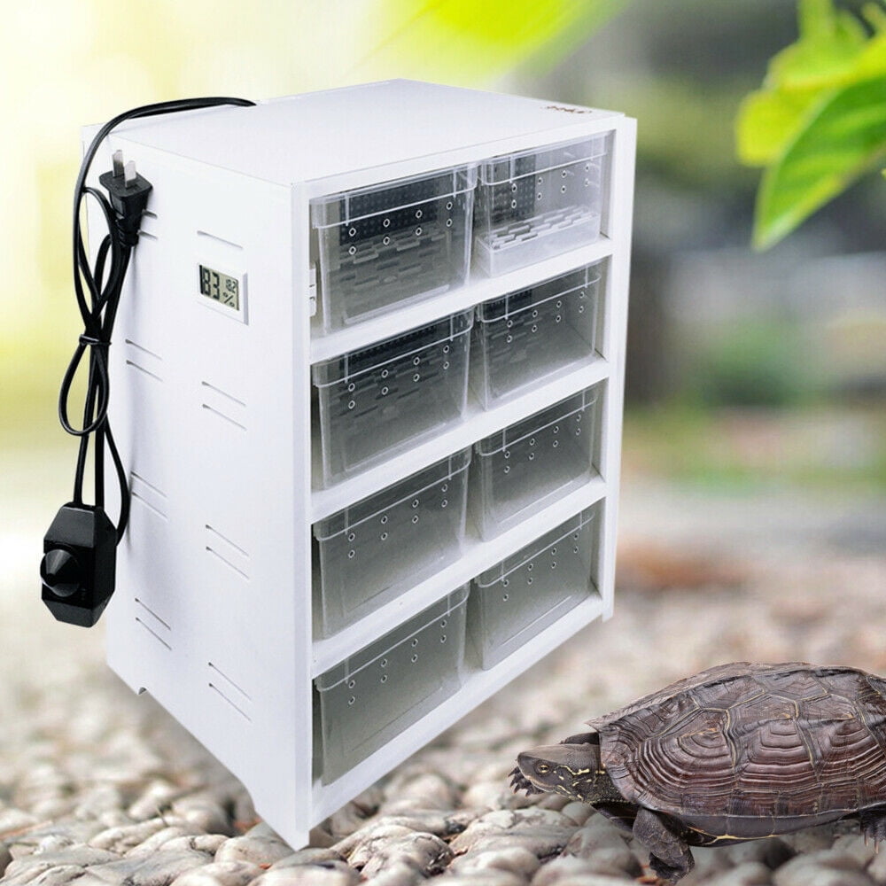 TFCFL 8Grid Reptile Breeding Tank Pet Feeding Box with Hygrometer for