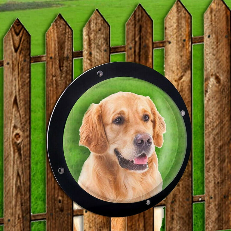 Custom Golden Retriever Dog Fence Peeker Outdoor Yard Kennel Dog
