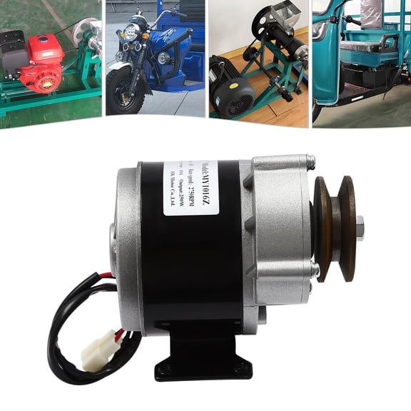 TFCFL DC Brushed Motor Electric Motor Gear Reduction Gear Motor w/ Belt Pulley 250W 12V/ 24V/ 36V