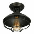thumbnail image 1 of TFCFL Retro Industrial Metal Cage Ceiling Light Vintage Semi Flush Mount Pendant Lamp Fixture, 1 of 7