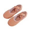 thumbnail image 1 of TFEOQRY Ballet Shoes for Girls Soft Sole Non Slip Elastic Straps Canvas Dance Slippers, 1 of 9