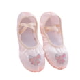 thumbnail image 1 of TFEOQRY Girls Embroidery Bow Ballet Shoes Soft Sole Solid Color Performance Dance Slippers Flat, 1 of 7