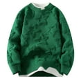 thumbnail image 1 of TFEOQRY Kids Crew Neck Star Pattern Knit Sweater Fake Two Pieces Long Sleeve Casual Pullover Fall Winter Top Green, 1 of 4