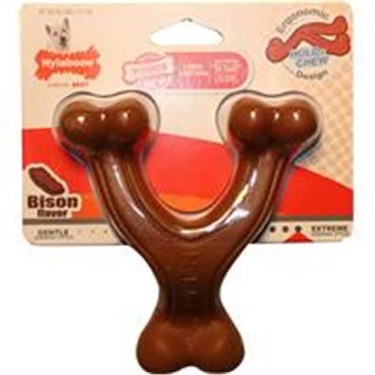 TFH Publications-Nylabone Power Chew Wishbone - Regular