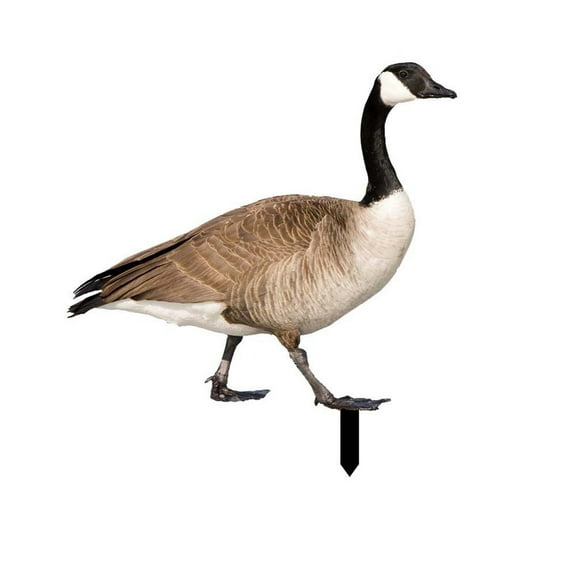 TFYZYY Poultry Yard Garden Decoration Acrylic Duck Statue Outdoor Yard Decor Lawn Scape Decorative Insert for Gardens Backyards Patios