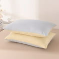 thumbnail image 1 of TFYZYY Waterproof Breathable Pillow Protector Cover - Full Wrap Design, Wicking and Sweat Absorption, Multicolor (29.1x18.9x0.8 Inches), 1pc, 1 of 6