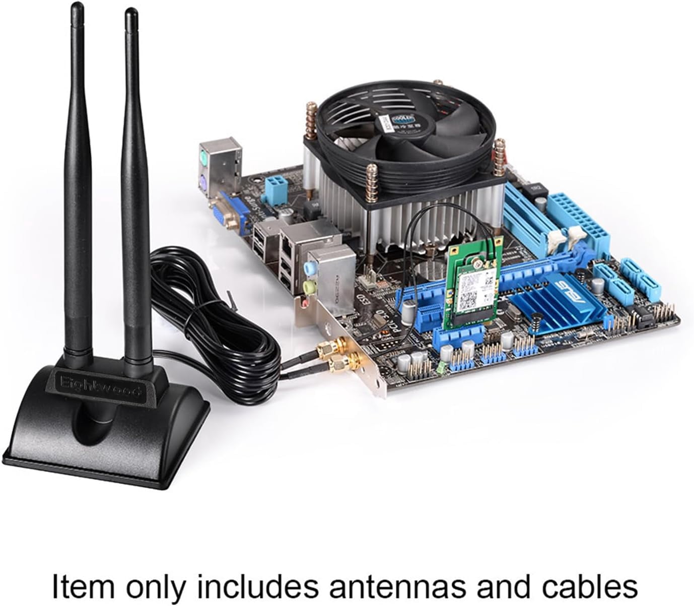 TG4THT-2.4GHz 5GHz Dual Band RP-SMA Male WiFi Antenna + RP-SMA Female ...