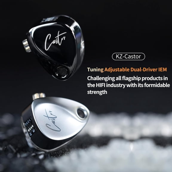 TG4THT-KZ Castor in Ear HiFi Earphone 2DD Dynamic High-end Tunable IEM Earphones in Ear Monitor Headphones with Silicone Tips Detachable Cabel IEMs for Singer Musician DJ On Stage (Silver, Without Mi