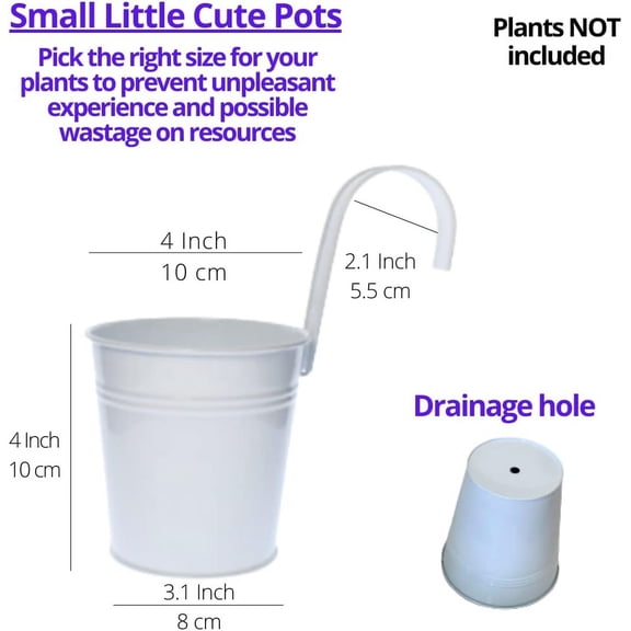 TG4THT-LaLaGreen Hanging Planters - 10 Pack, 4 Inch Balcony Railing Hanging Herb Garden Wall White Metal Bucket Fence Planter for Outdoor Plants Flower Pot Deck Rail Porch Window Box Hooks Macetas Co