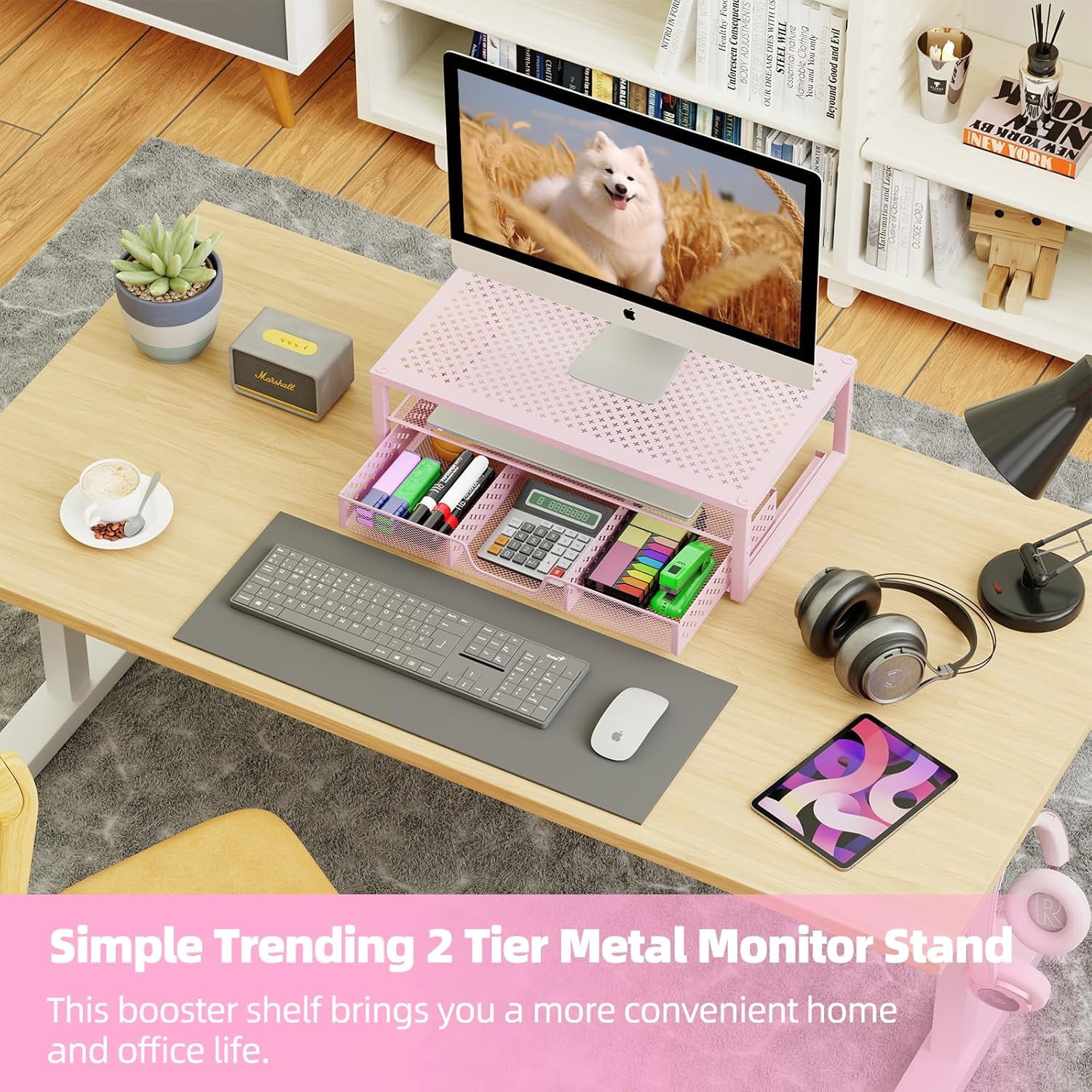 TG4THT-Metal Monitor Stand Riser and Computer Desk Organizer with ...