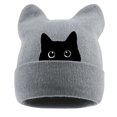 thumbnail image 1 of TGPMGRZ Adorable Cat Embroidery Knitted Hat Winter Warm Ear Casual For Women Men, 1 of 5