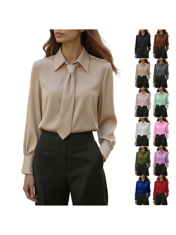 Women's Satin Tie Neck Blouses Smooth Soft Puff Long Sleeve Elegant Tops Loose Casual Solid Color Fall Office Shirts S