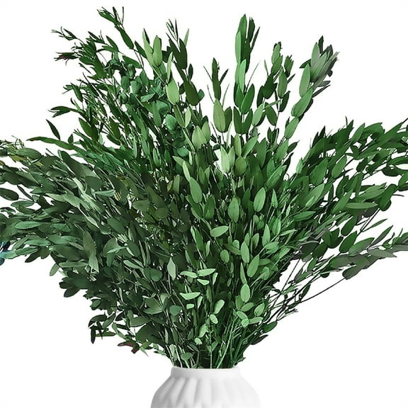 TGY 1 Bunch Dried Eucalyptus Stems,16" Preserved Natural Green Eucalyptus Leaves,Fine leaved Eucalyptus Bundles,Perfect for Vase Filler Shower Hanging Wedding Decor