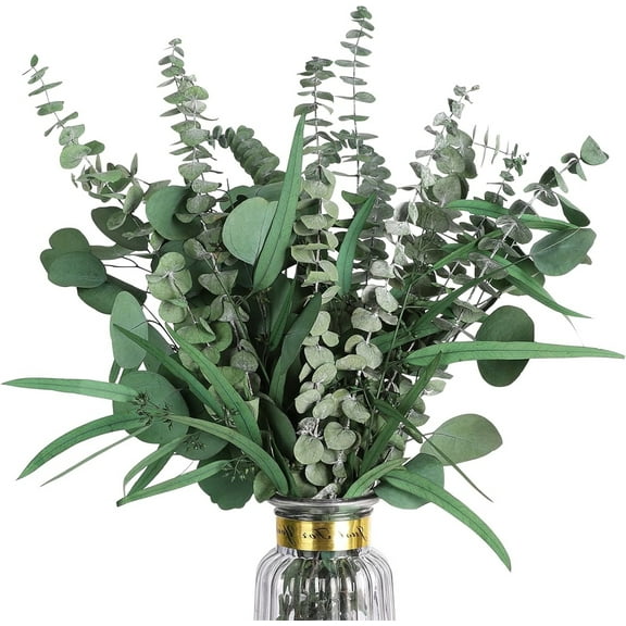 TGY Mixed Dried Eucalyptus Bundles,Natural Eucalyptus Stems,Preserved Plant Garland Greenery,for Vase Floral Arrangements Wedding Bouquet Shower Hanging Home Decor