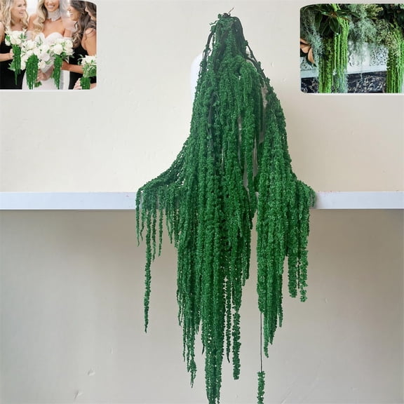 TGY Natural Dried Amaranthus Hanging Flowers,5Pack Green Dried Preserved Hanging Amaranthus Flowers for Wedding Bouquet, Wall Decoration,Home Decor