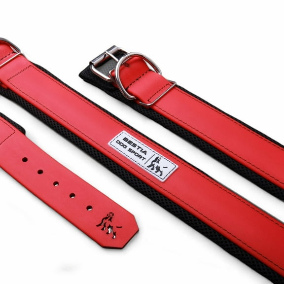 THE 2 INCH ULTRA HEAVY DUTY BDS COLLAR IN MATT RED COLOR