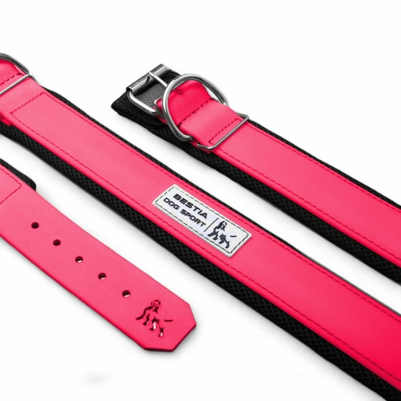 THE 2 INCH ULTRA HEAVY DUTY BDS COLLAR IN NEON PINK COLOR