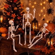 THE BRIVE 1.3ft Poseable Halloween Skeleton, 3 Pcs Realistic Decor for Yard, Porch & Indoor Party
