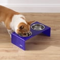 thumbnail image 1 of THE LICKER STORE Keaton 5" Small/Medium Modern Acrylic Rectangular Elevated Pet Feeder with 20oz 2-Stainless Steel Bowls, Purple/Chrome, DBL2000F, 1 of 7