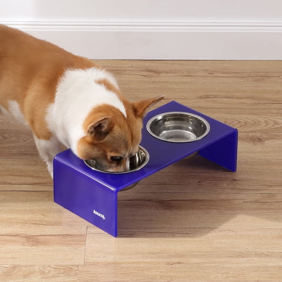 THE LICKER STORE Keaton 5" Small/Medium Modern Acrylic Rectangular Elevated Pet Feeder with 20oz 2-Stainless Steel Bowls, Purple/Chrome, DBL2000F