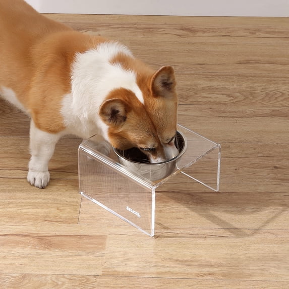 THE LICKER STORE Keaton 5" Small/Medium Modern Acrylic Rectangular Elevated Pet Feeder with 20oz 1-Stainless Steel Bowl, Clear/Chrome, DBL2002A
