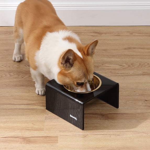 THE LICKER STORE Keaton 5" Small/Medium Modern Acrylic Rectangular Elevated Pet Feeder with 20oz 1-Stainless Steel Bowl, Black/Gold, DBL2002B