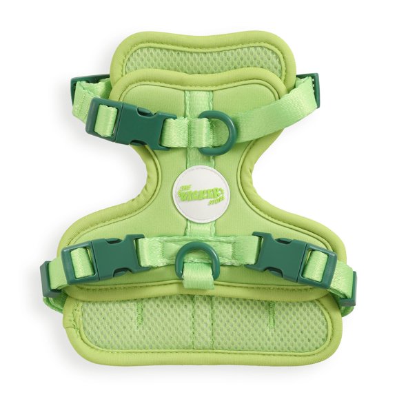 THE LICKER STORE Arlo Extra Small Adjustable Soft Padded No Pull Pet Harness with 3 Buckles and 3 Leash Clips, Light Green, HNS1000B