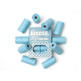 thumbnail image 1 of THE LICKER STORE The Licker Store 13 in. x 9 in. Extra Thick Leak Proof Unscented Dog Poop Bags, Blue (300 Count, 20-Rolls), WBG1000A-20SET, 1 of 8