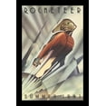 thumbnail image 1 of THE ROCKETEER - 11x17 Framed Movie Poster, 1 of 6