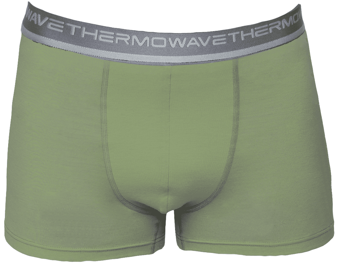 THERMOWAVE MERINO LIFE / Mens Merino Wool Boxer Briefs / CAPULET